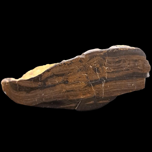Stromatolite (Cut and Polished) - Scotland