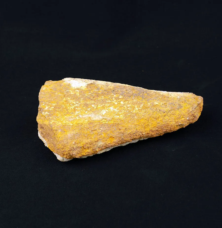 Dinosaur Bone - UK