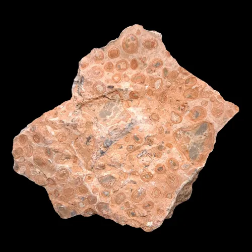 Orbicular Rhyolite - Peru