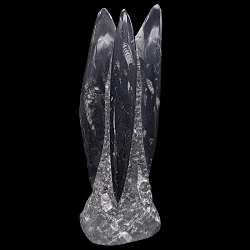 Orthoceras Towers
