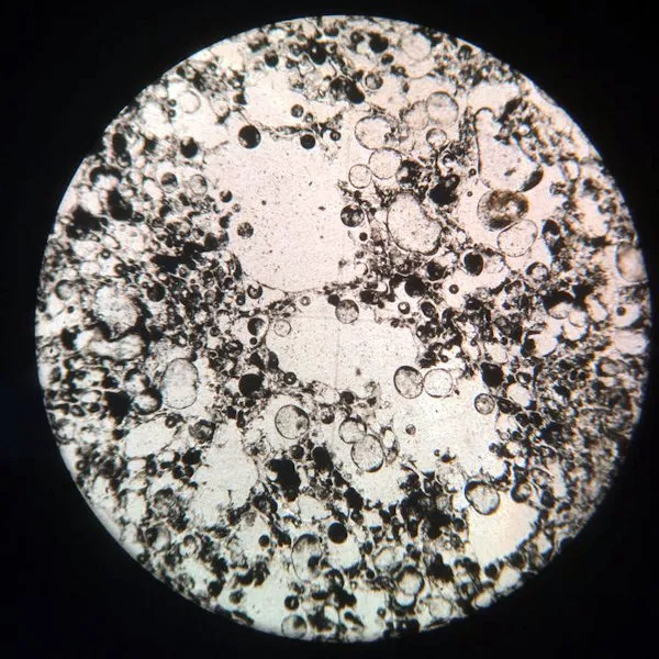 Pumice Slide
