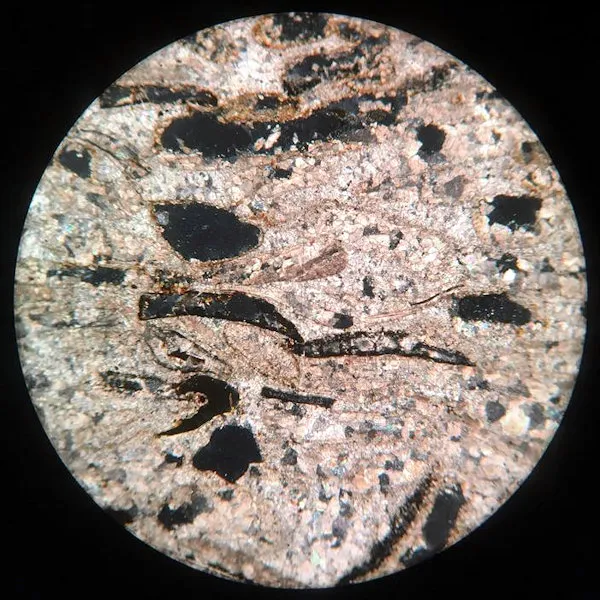 Purbeck Limestone Slide