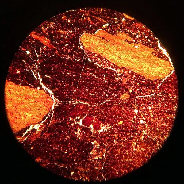 Lignite Slide