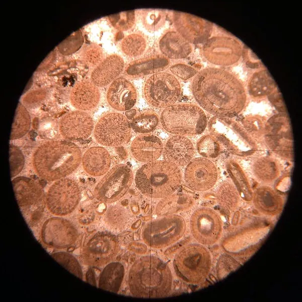 Oolitic Limestone Slide