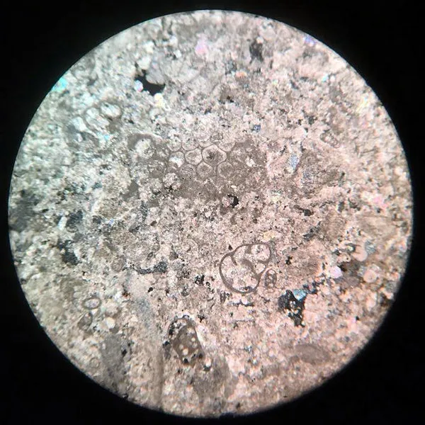 Limestone Slide