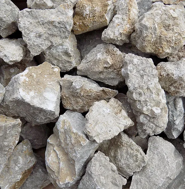 Crinoidal Limestone (1kg)