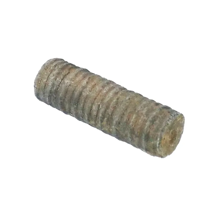 Crinoid Stem (5 pcs) - Morocco