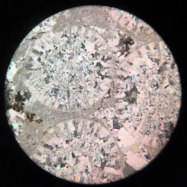 Coral Limestone Slide