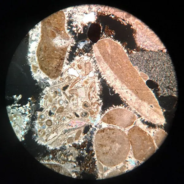 Conglomerate Slide