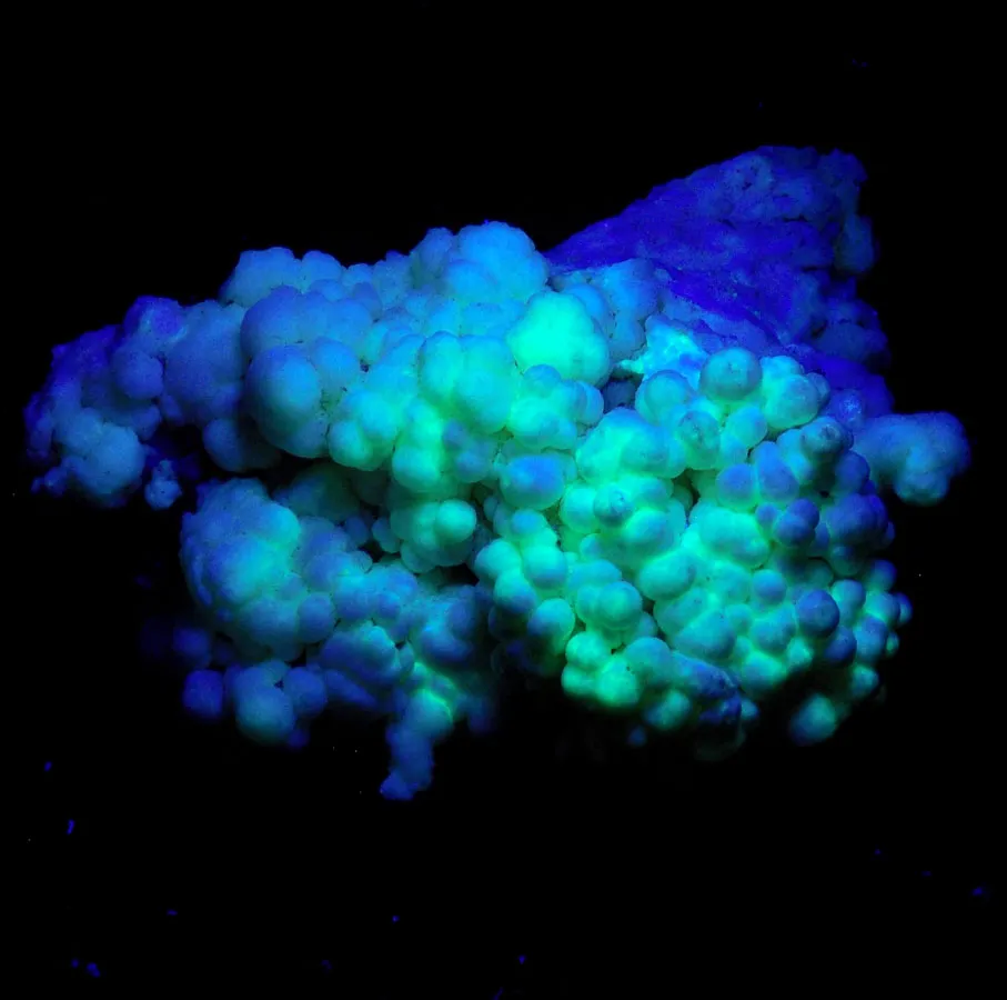 Aragonite Groups (Fluorescent)