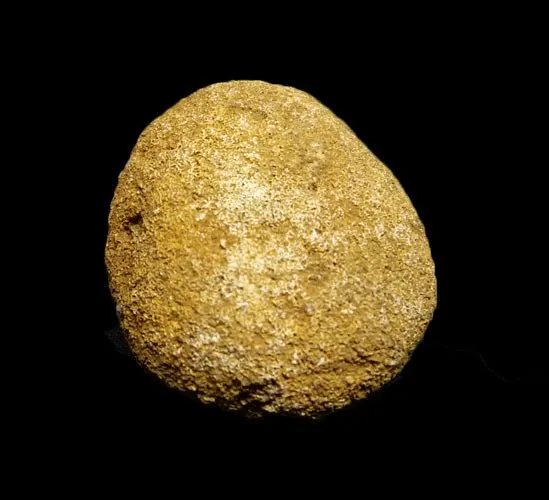Oculospongia