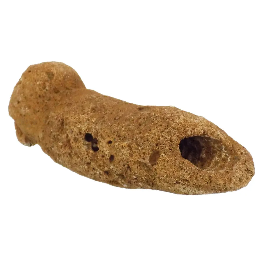 Corynella