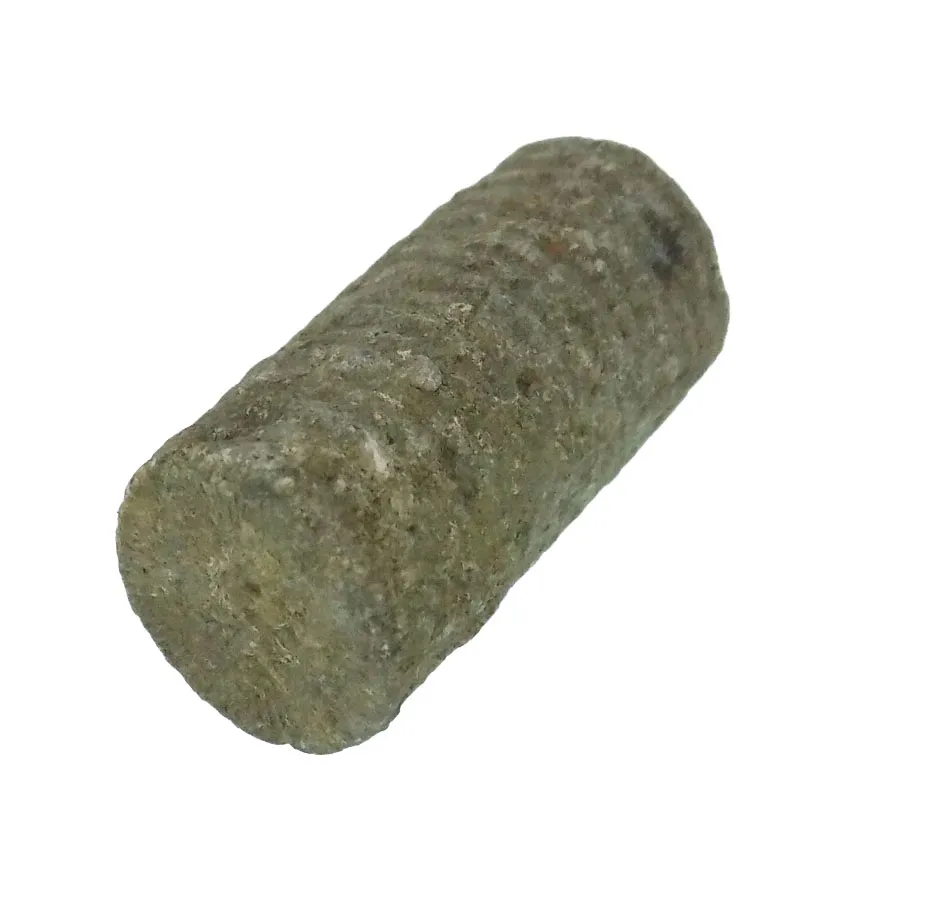Crinoid Stem - Lancashire