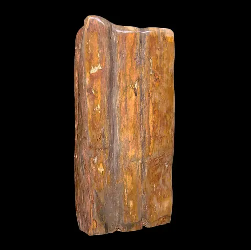 Petrified Teak Wood Display Piece (7)