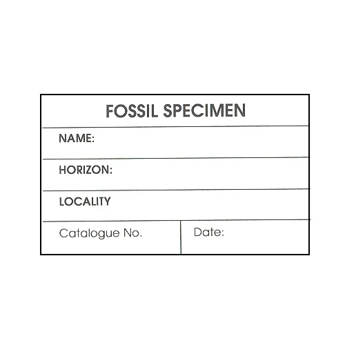 Fossil Specimen Cards (25 cards)