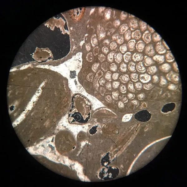 Pisolite Slide