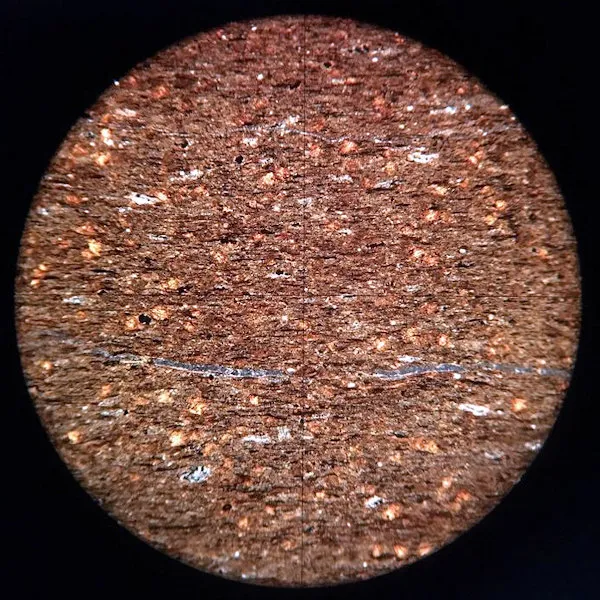 Kimmeridge Clay Slide