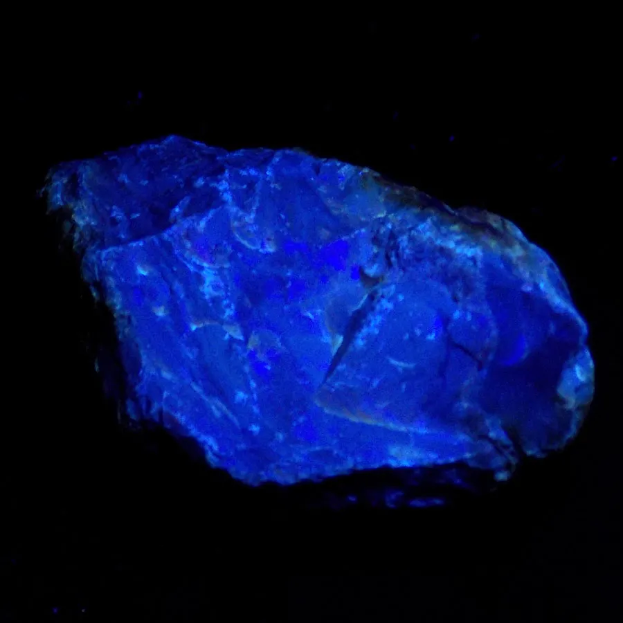 Amber - Black (Fluorescent)