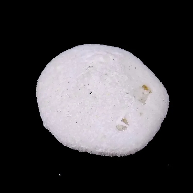 Prowillungaster minor