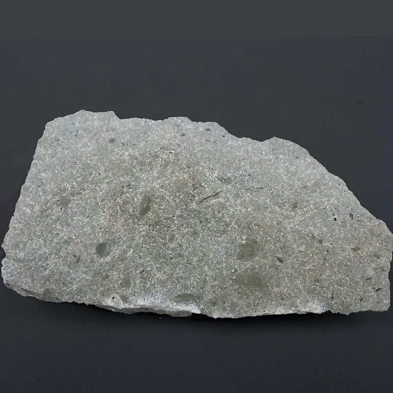 Cockroach Wing Case