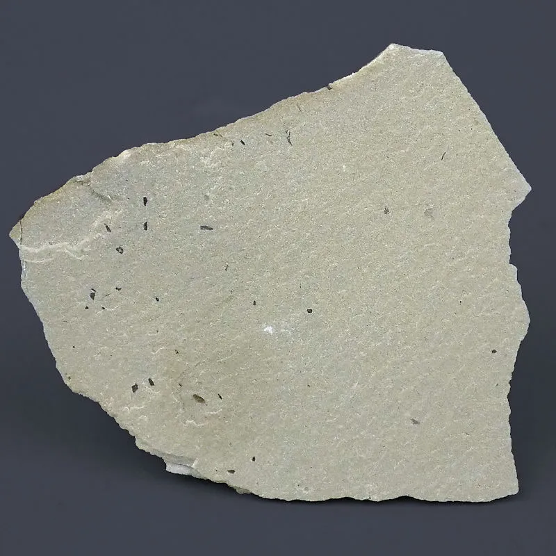 Beetle Wing Cases (3)