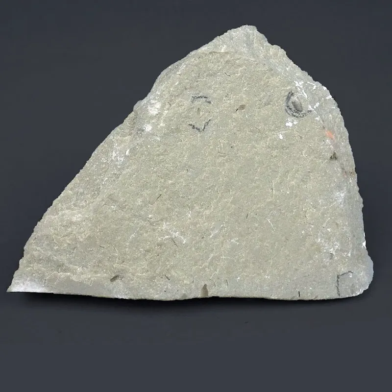 Beetle Wing Cases (5)