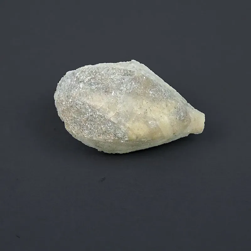 Pentremites sp - B Grade