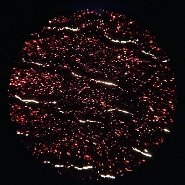 Cannel Coal Slide