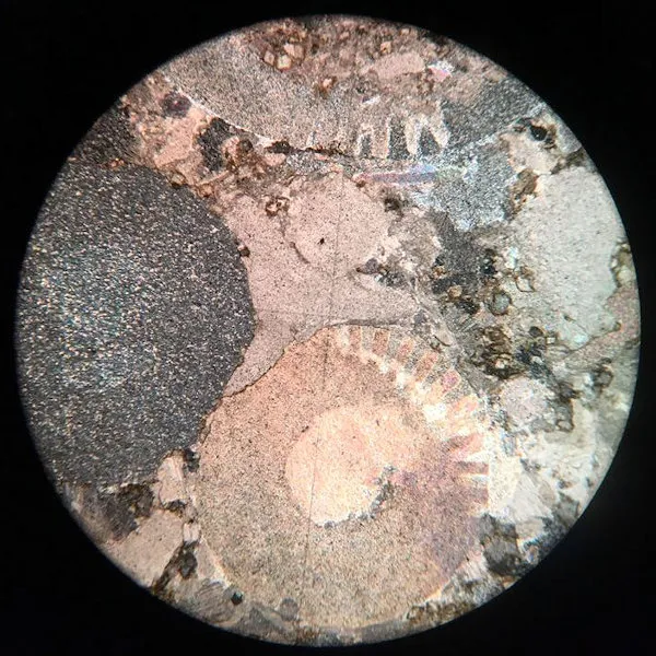 Crinoidal Limestone Slide