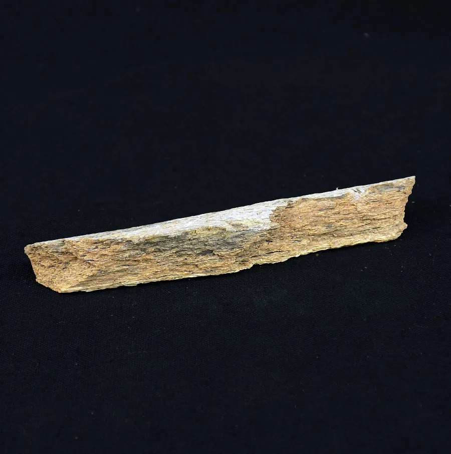 Woolly Mammoth Bone Fragment