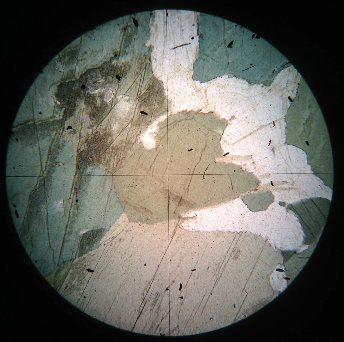 Hornblende Slide