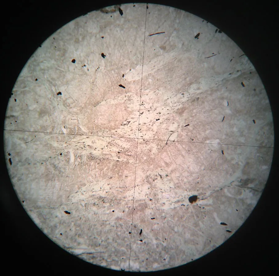 Greenschist Slide