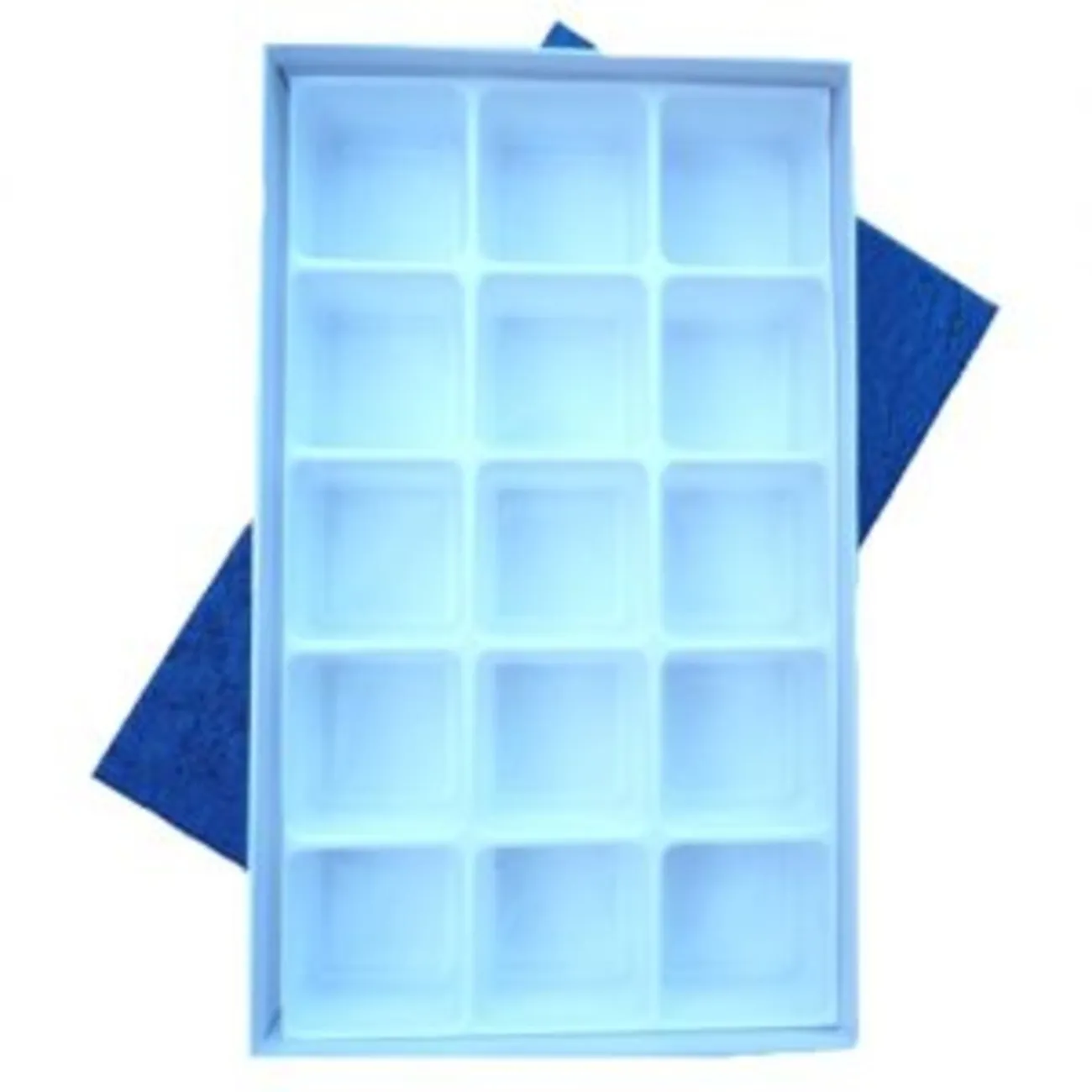 15 Cell Sectioned Box