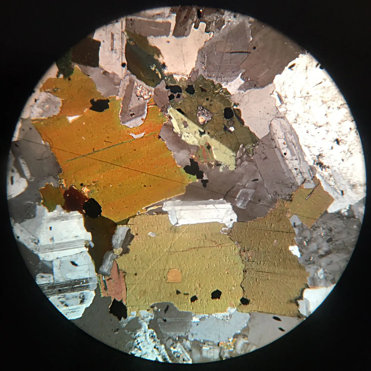 Granodiorite Slide (USA)