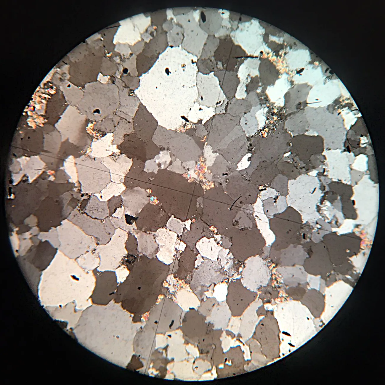Orthoquartzite Slide (South Africa)