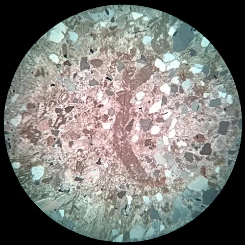 Nummulitic Limestone Slide