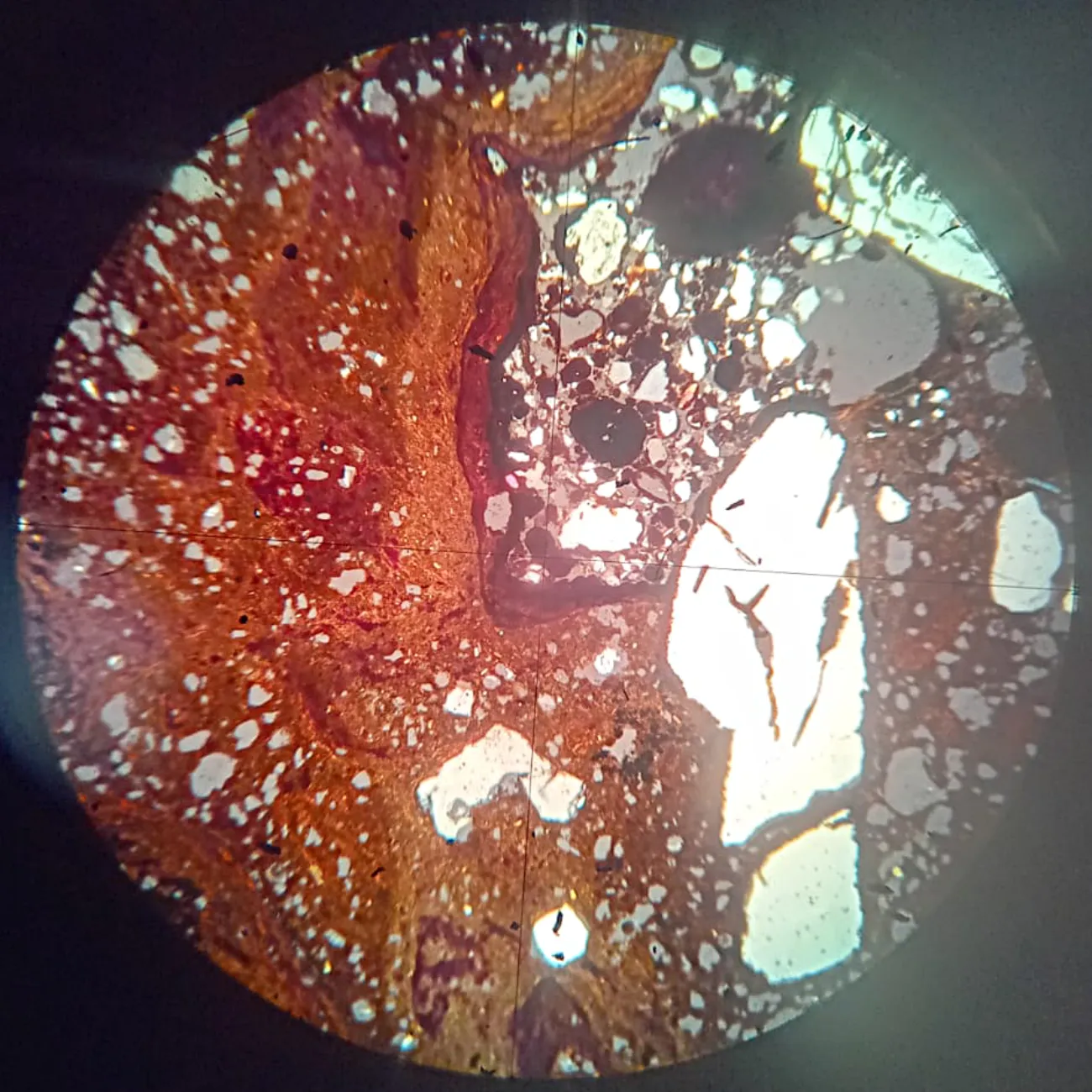 Oolitic Iron Ore Slide