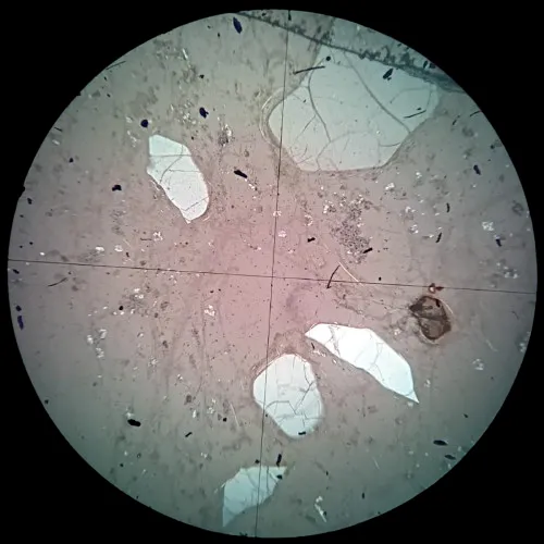 Pitchstone Slide