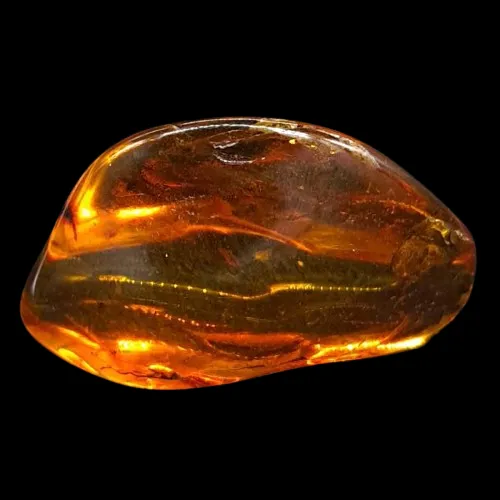 Amber with Insects