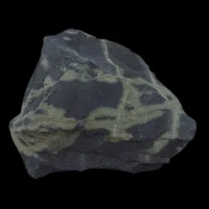 Ribbon Banded Mudstone (Shale)