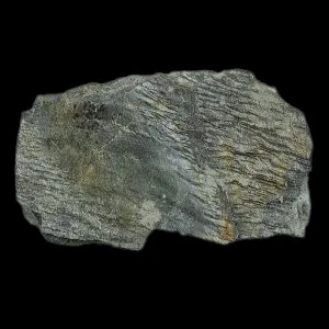 Phyllite