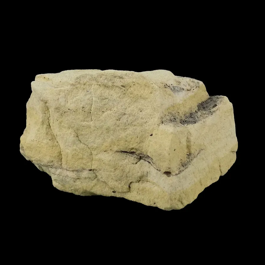 Cretaceous Sandstone