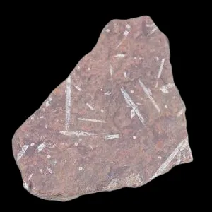 Chiastolite Slate