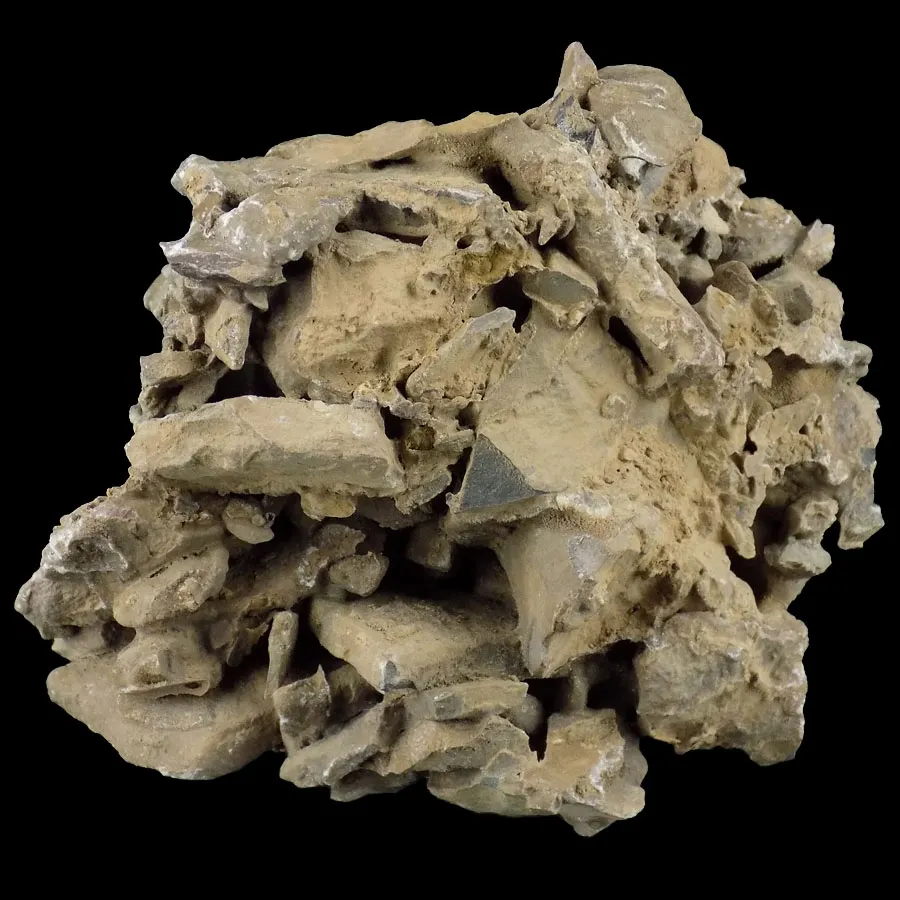 Breccia (Calcrete)