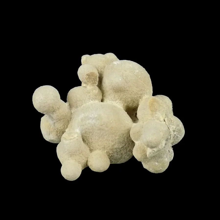 Cannonball Limestone