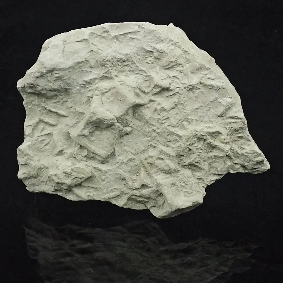 Salt Pseudomorph