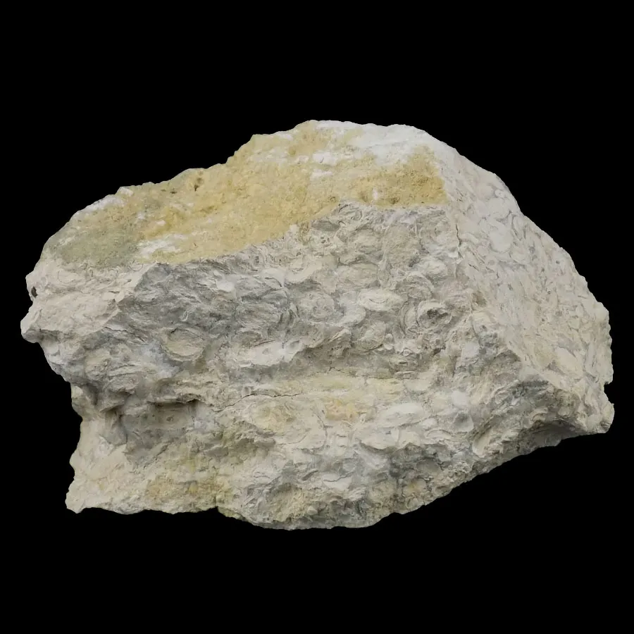 Pisolite