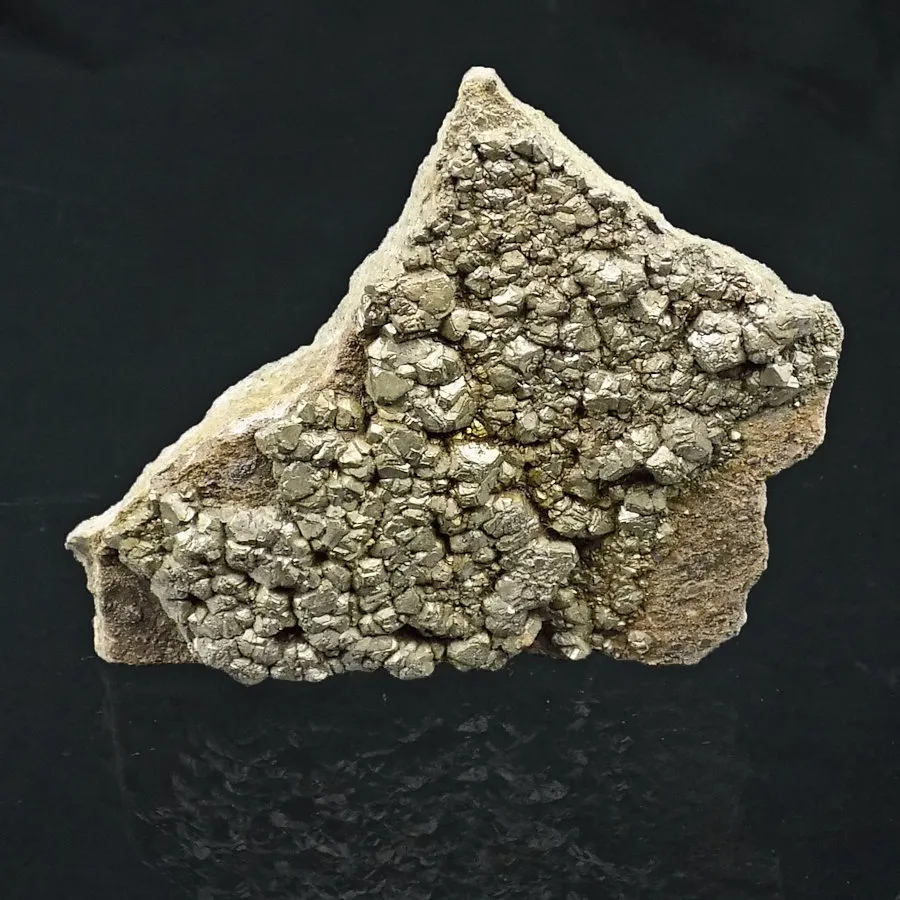 Pyrite Rhaetic Bone Bed