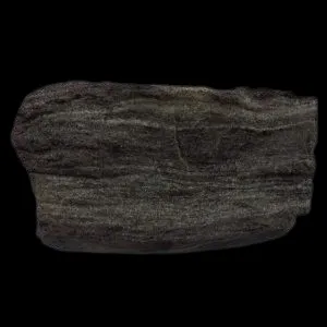 Siltstone