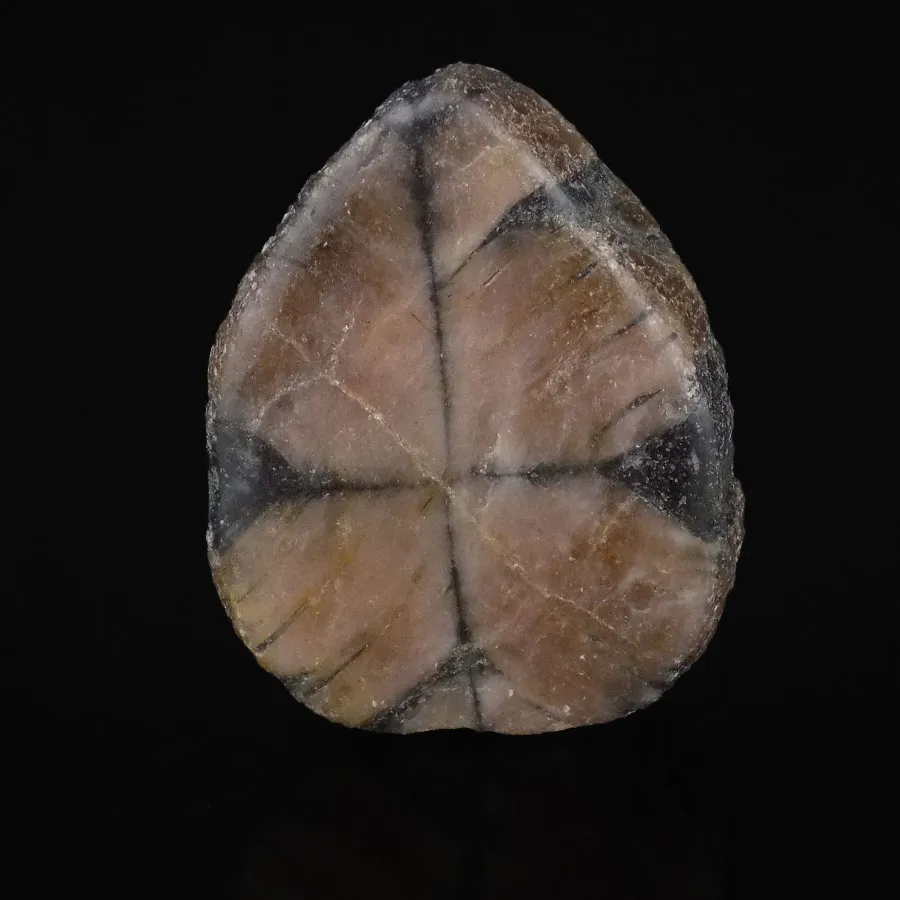 Chiastolite Slices - China